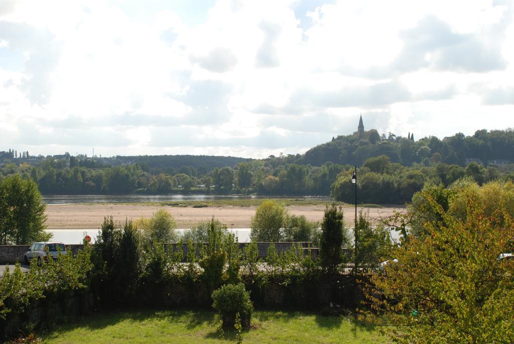 Domaine De L'Oie Rouge Bed & Breakfast Les Rosiers-sur-Loire Room photo